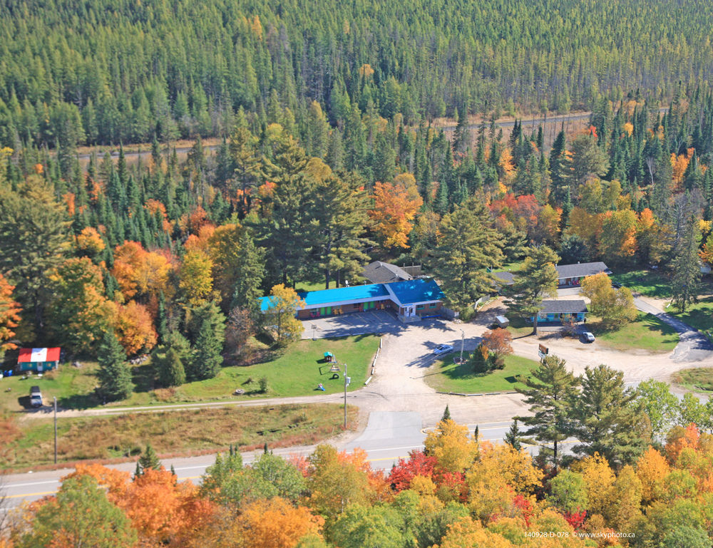 Algonquin Motel South River Dış mekan fotoğraf
